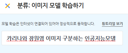 모델 이름 칸에 「카리나와 장원영 이미지 구분하는 인공지능모델」이라고 적은 화면