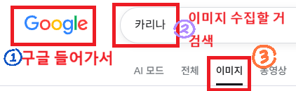 ① 구글, ② 검색 칸에 카리나 입력, ③ 이미지 탭