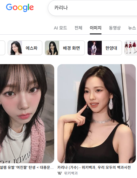 구글 이미지 검색 결과